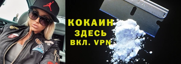 винт Абаза