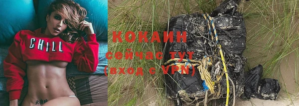 винт Абаза