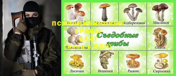ПСИЛОЦИБИНОВЫЕ ГРИБЫ Алексин